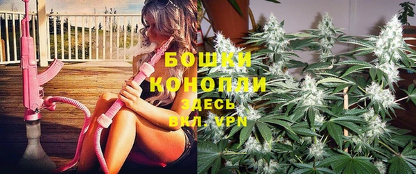 гашик Аркадак